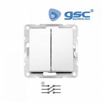 Doble interruptor empotrable Iota (Blanco) Ref. 103500008