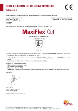 Declaración UE conformidad