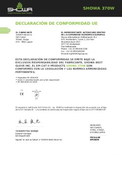 Declaración Conformidad UE