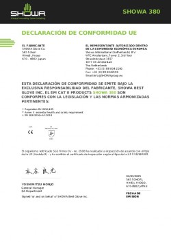 Declaración Conformidad UE