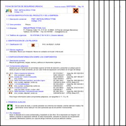Ficha Seguridad