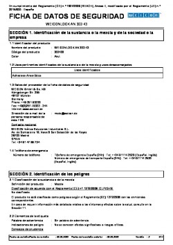 Ficha Seguridad